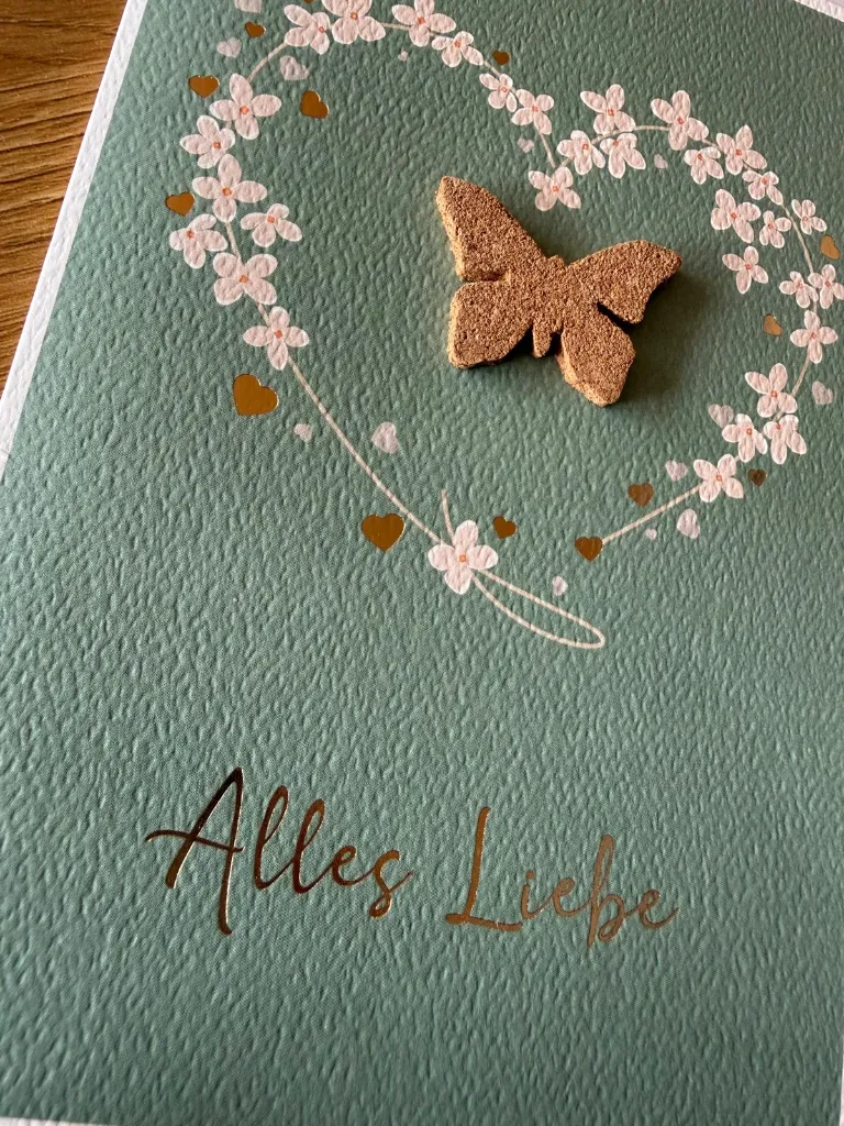 WhatsApp Image 2026-03-27 at 21.19.26.webp