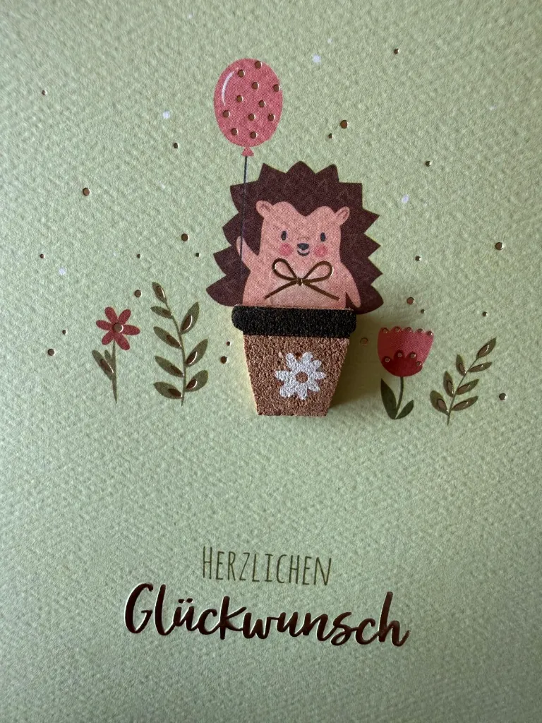 WhatsApp Image 2026-03-27 at 22.20.12.webp