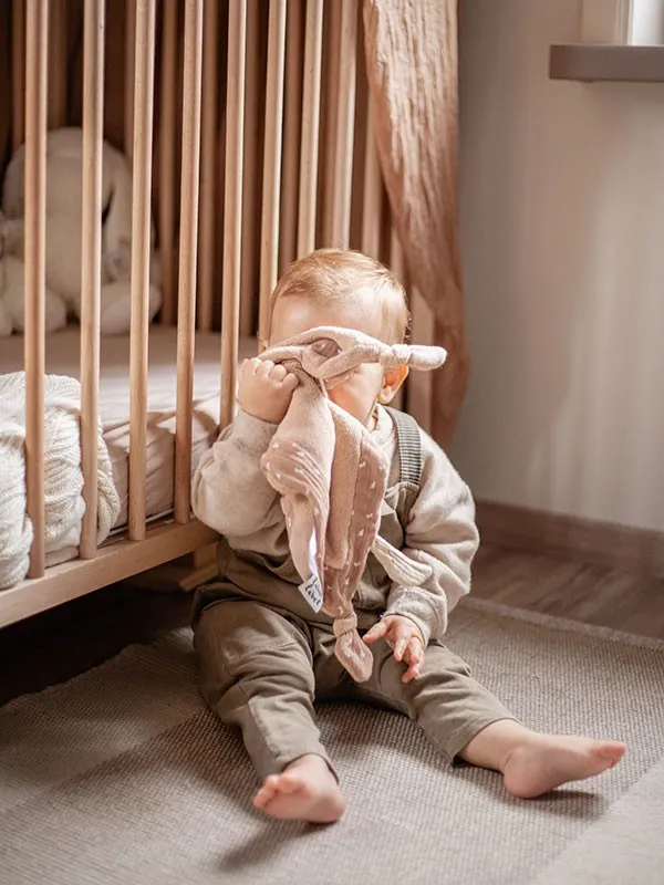 label-label-cuddle-cloth-brown-dragonfly (1).webp